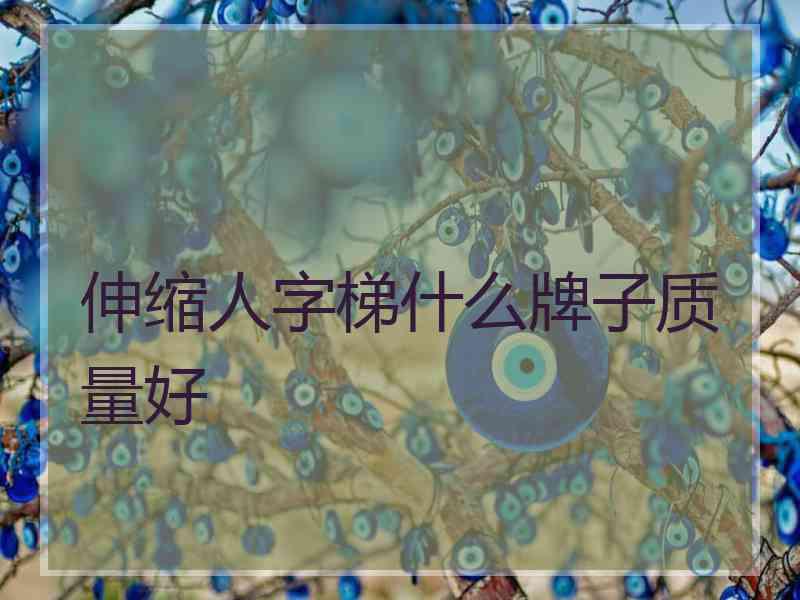 伸缩人字梯什么牌子质量好