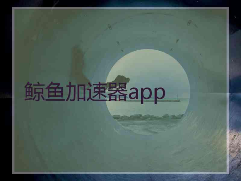 鲸鱼加速器app