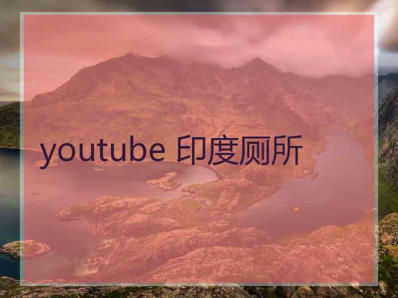 youtube 印度厕所