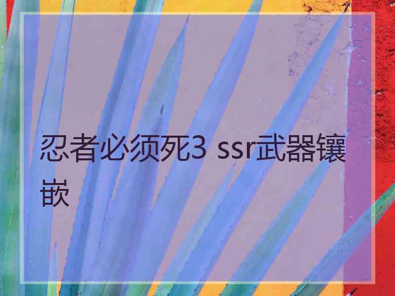 忍者必须死3 ssr武器镶嵌