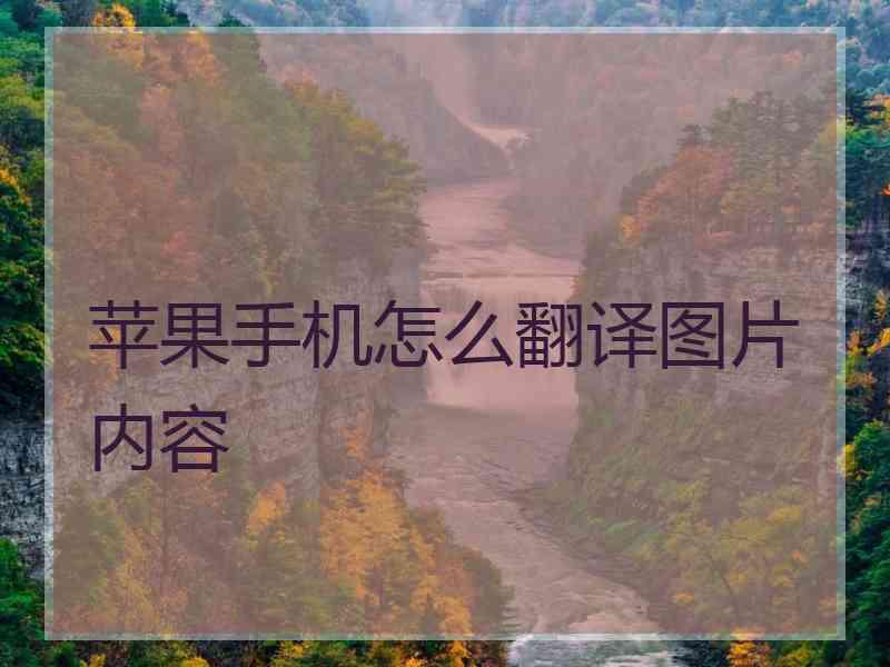 苹果手机怎么翻译图片内容