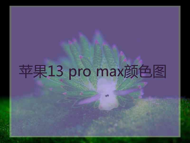 苹果13 pro max颜色图