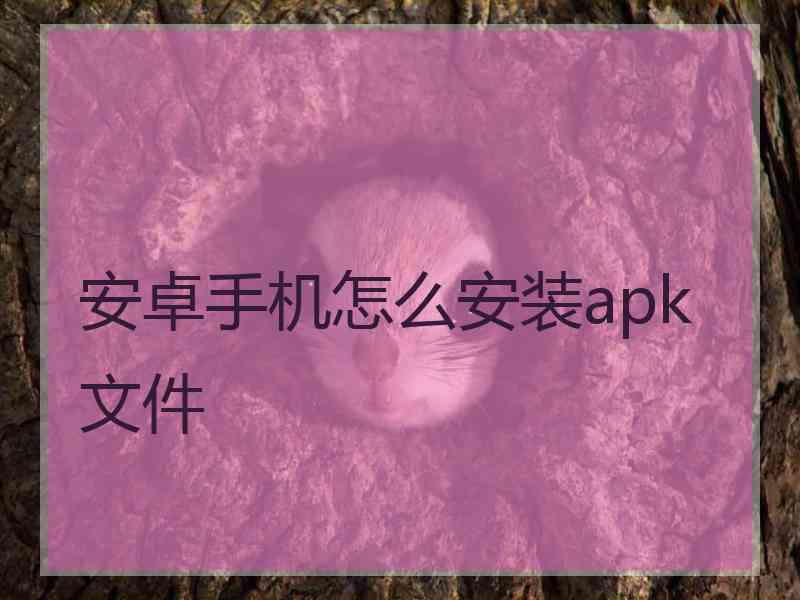 安卓手机怎么安装apk文件