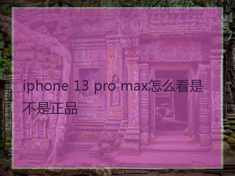 iphone 13 pro max怎么看是不是正品