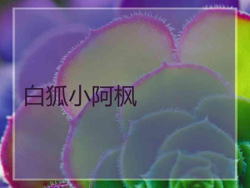 白狐小阿枫