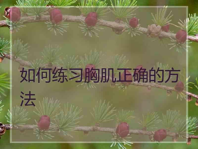 如何练习胸肌正确的方法