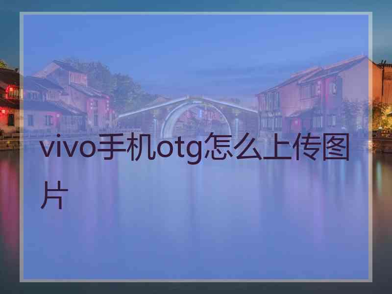 vivo手机otg怎么上传图片