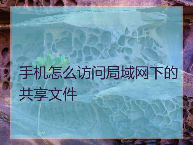 手机怎么访问局域网下的共享文件