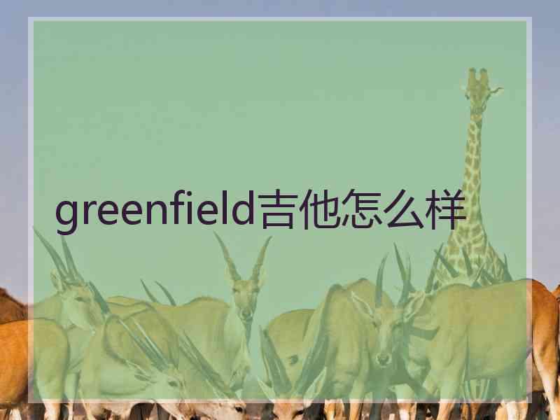 greenfield吉他怎么样