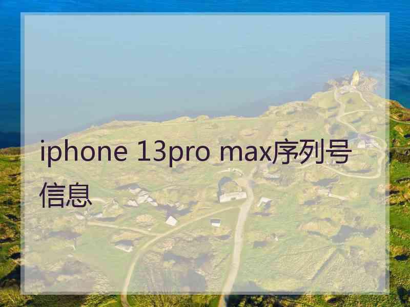 iphone 13pro max序列号信息