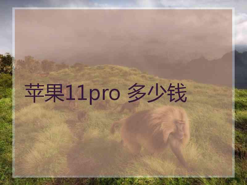 苹果11pro 多少钱