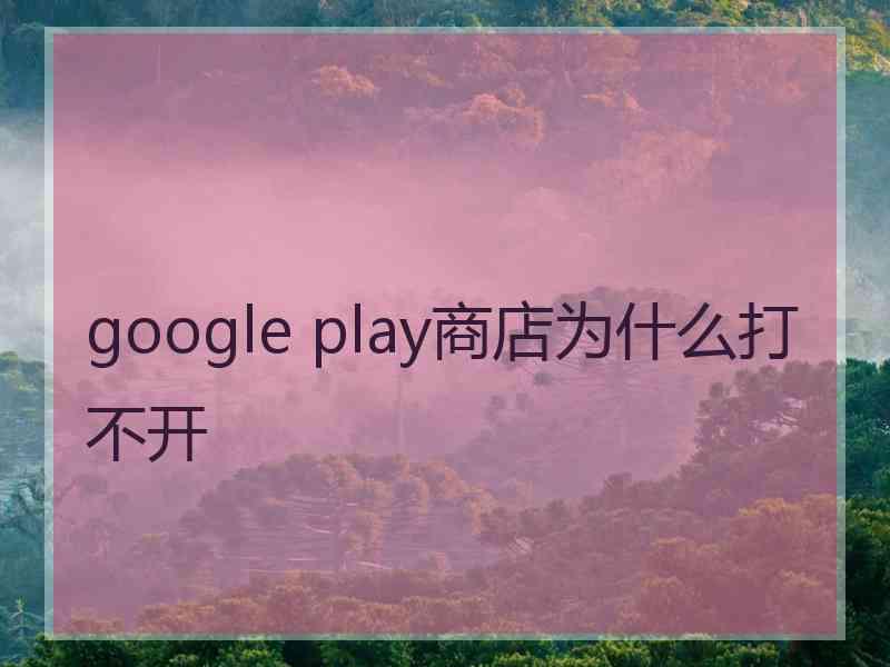 google play商店为什么打不开