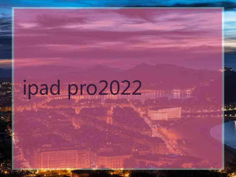 ipad pro2022