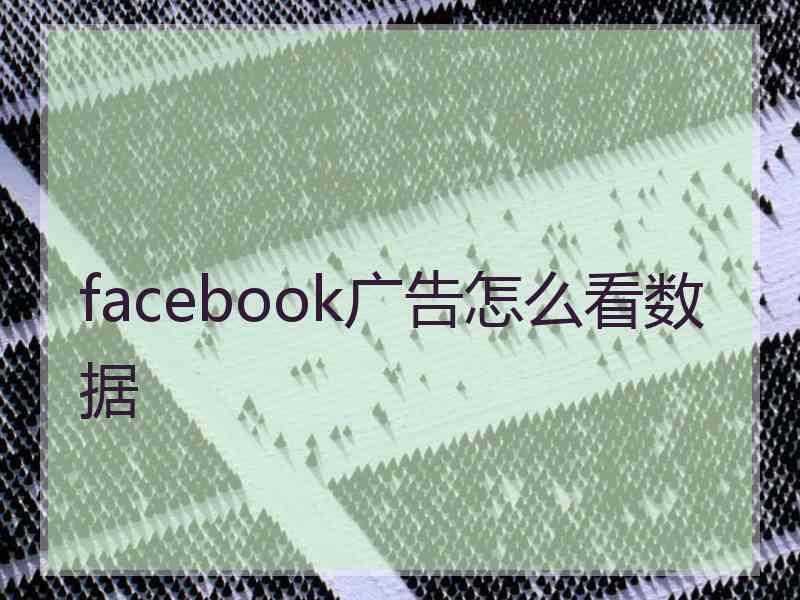 facebook广告怎么看数据