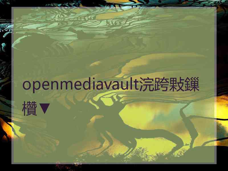 openmediavault浣跨敤鏁欑▼