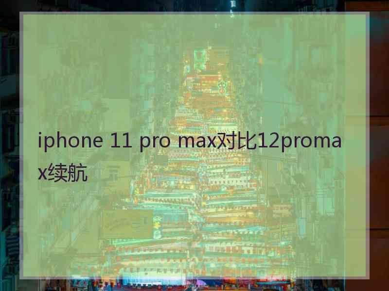 iphone 11 pro max对比12promax续航