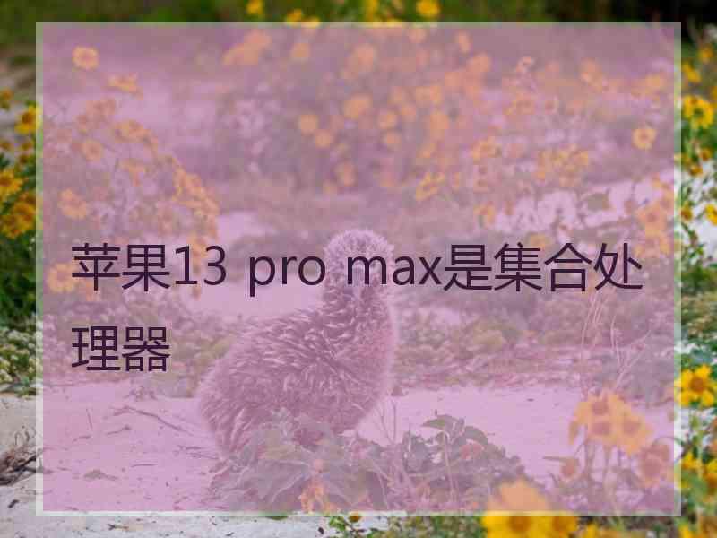 苹果13 pro max是集合处理器