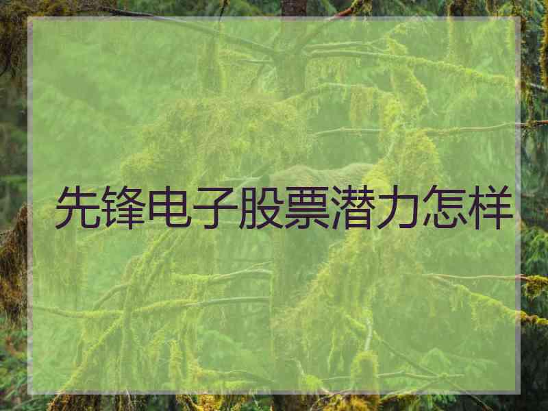 先锋电子股票潜力怎样