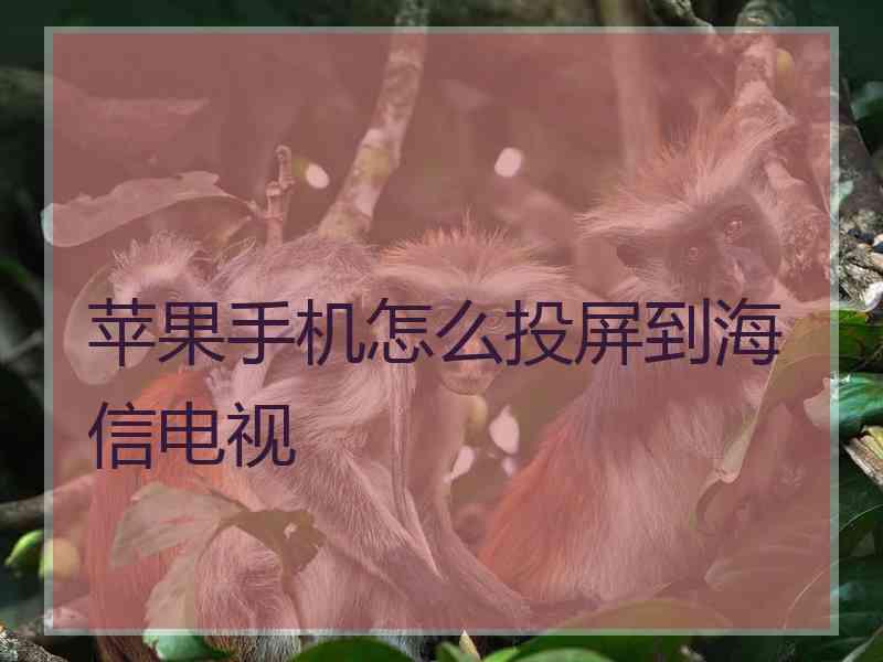 苹果手机怎么投屏到海信电视