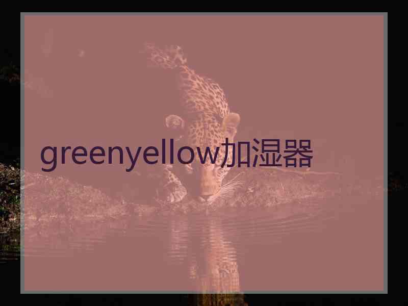 greenyellow加湿器