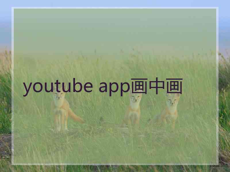 youtube app画中画