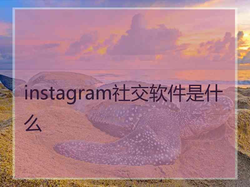 instagram社交软件是什么