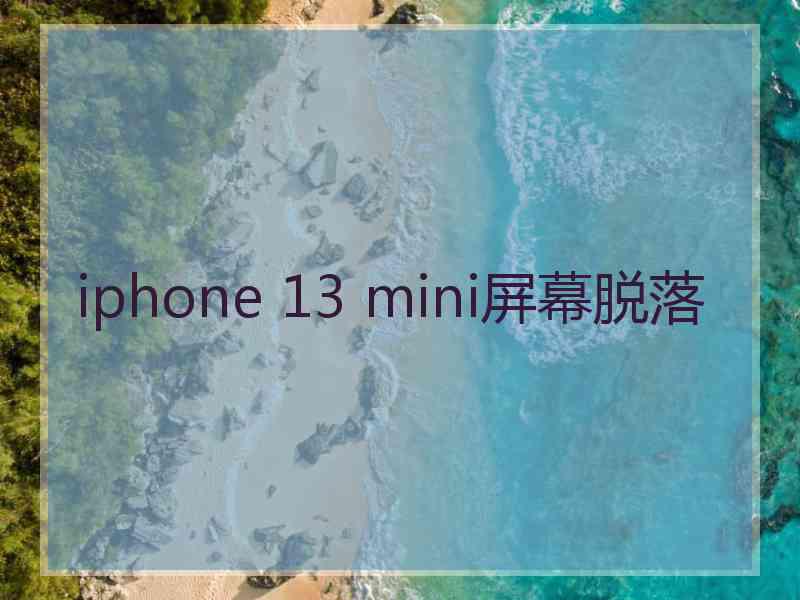 iphone 13 mini屏幕脱落