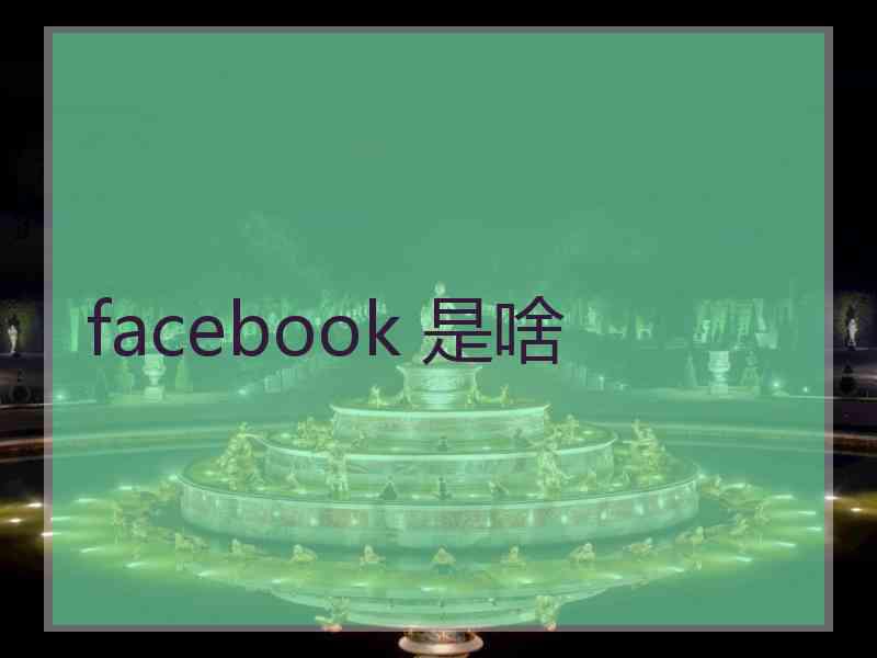 facebook 是啥