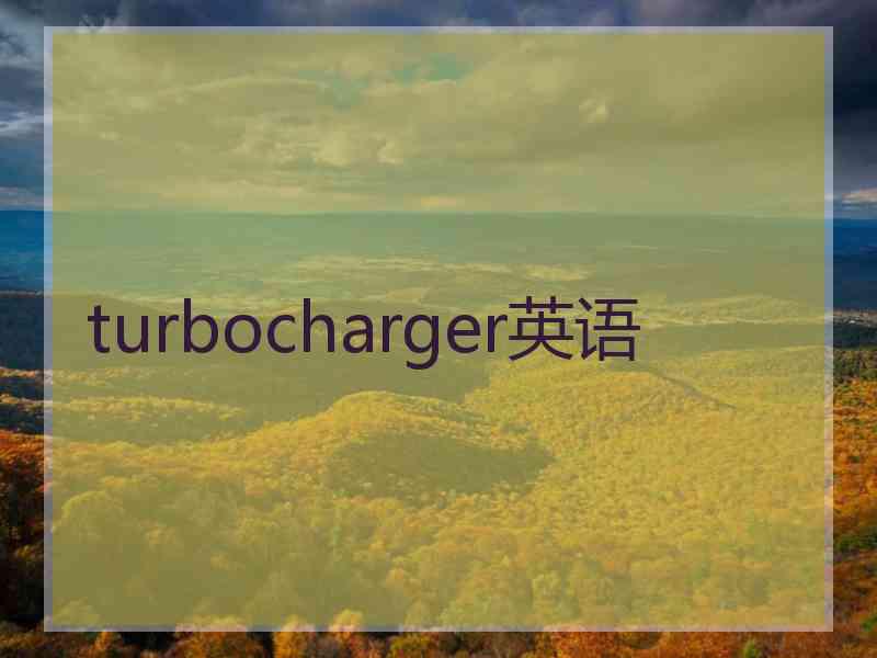 turbocharger英语