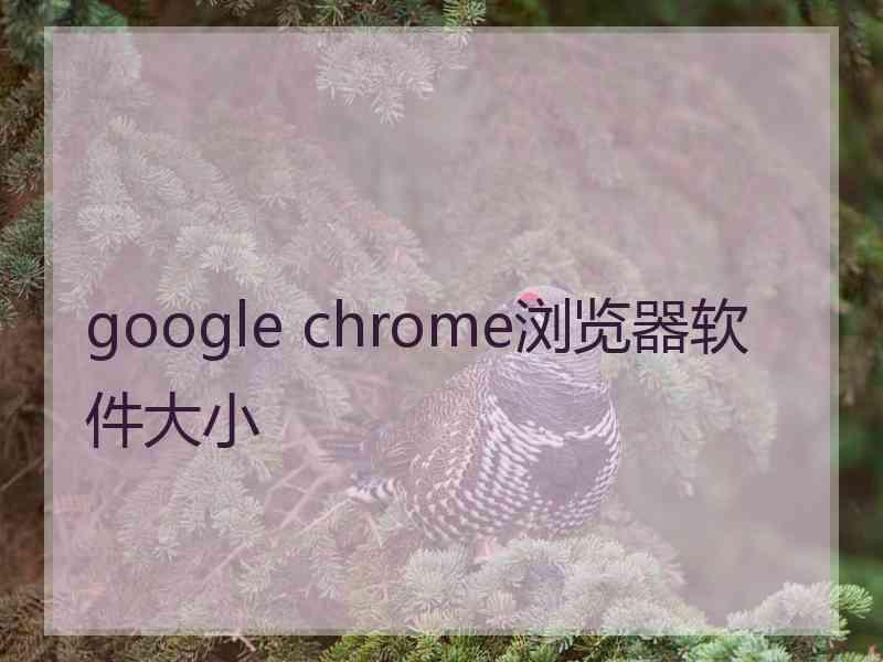 google chrome浏览器软件大小