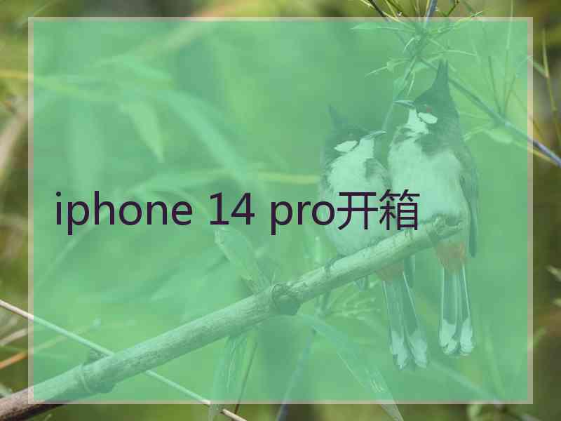 iphone 14 pro开箱