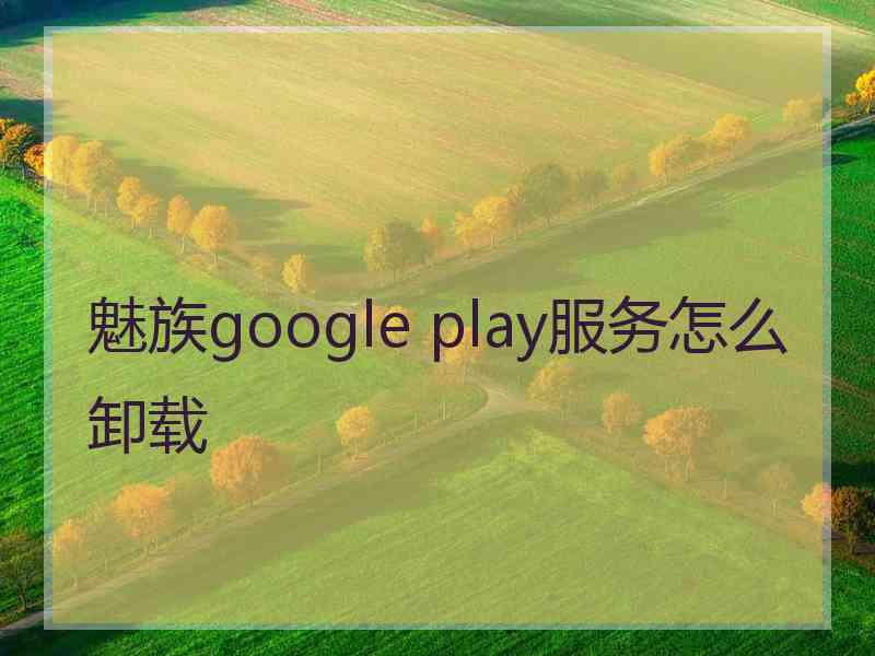 魅族google play服务怎么卸载