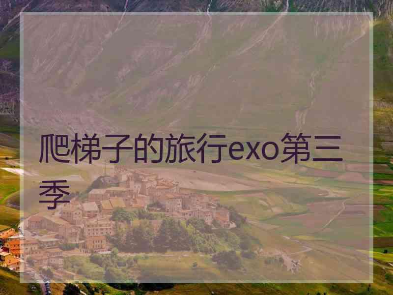 爬梯子的旅行exo第三季