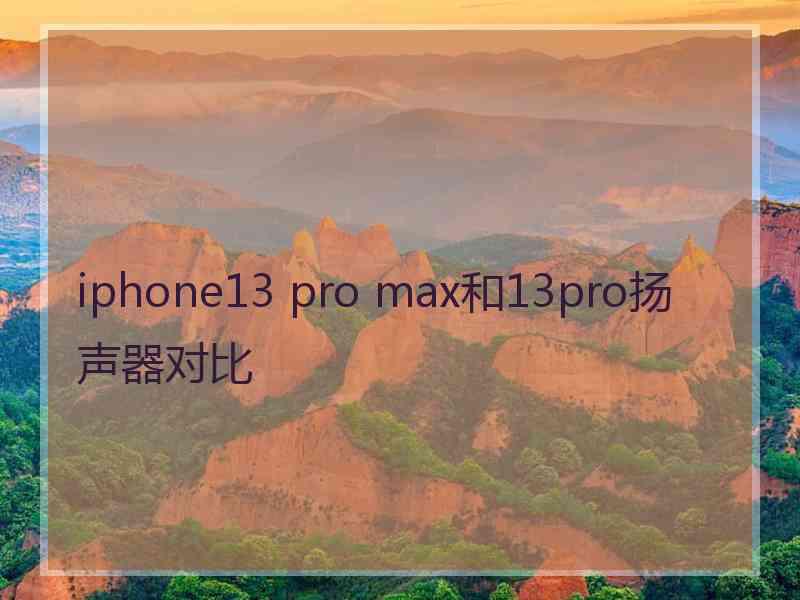 iphone13 pro max和13pro扬声器对比