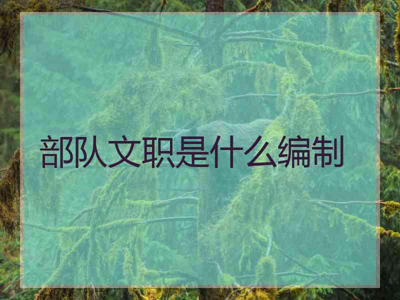 部队文职是什么编制