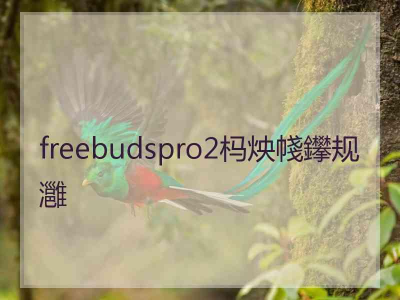 freebudspro2杩炴帴鑻规灉