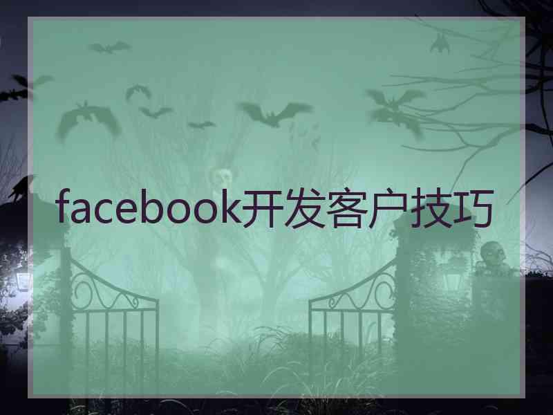 facebook开发客户技巧