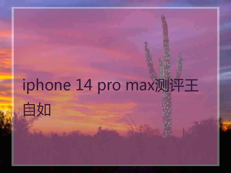 iphone 14 pro max测评王自如