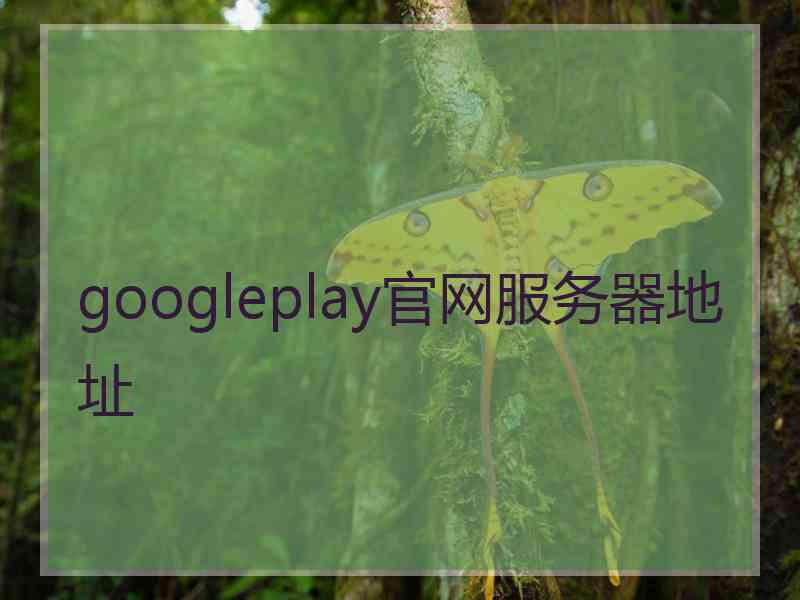 googleplay官网服务器地址