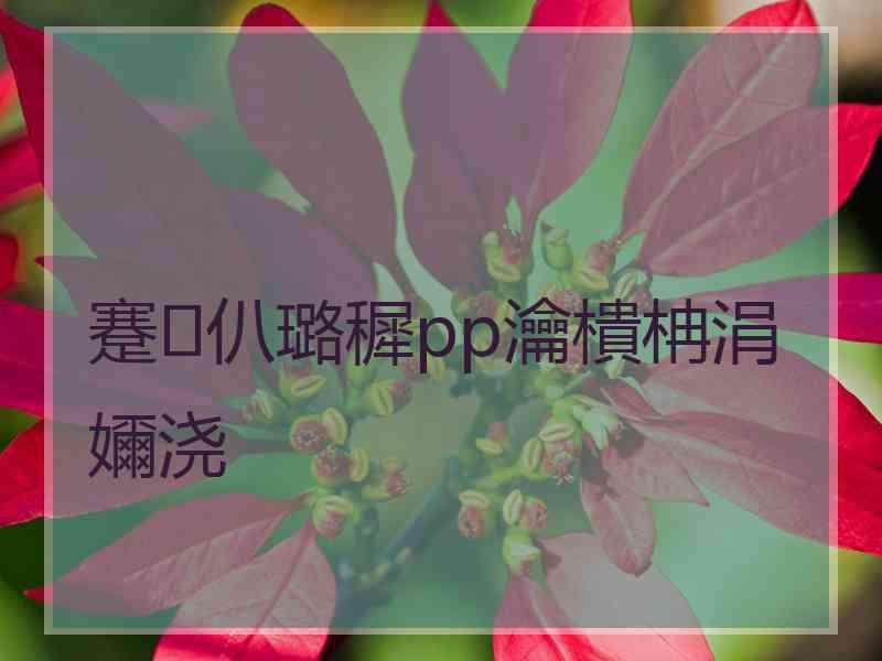 蹇仈璐穉pp瀹樻柟涓嬭浇