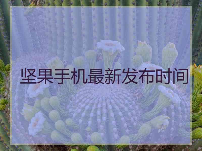 坚果手机最新发布时间