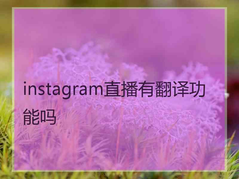 instagram直播有翻译功能吗