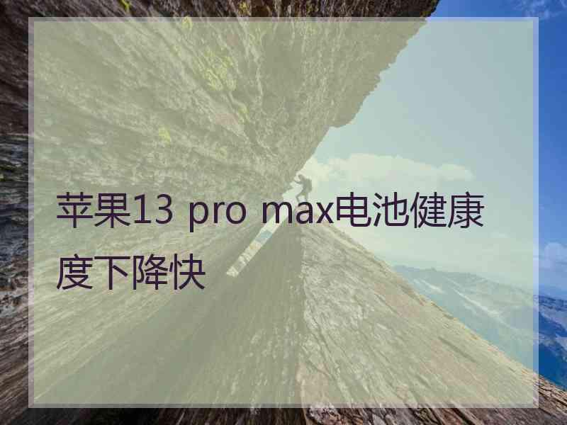 苹果13 pro max电池健康度下降快