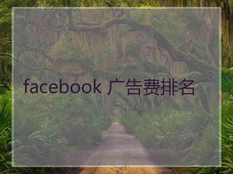 facebook 广告费排名