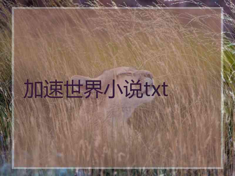 加速世界小说txt