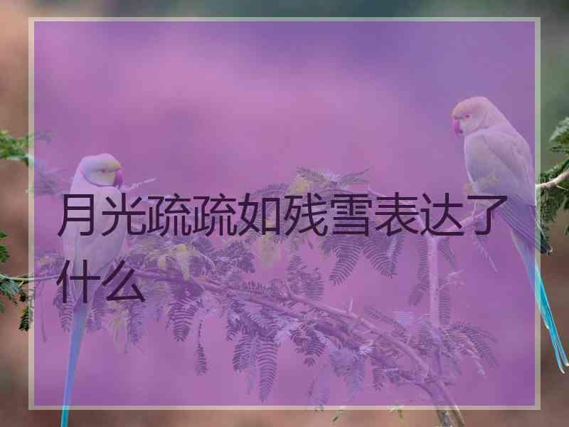 月光疏疏如残雪表达了什么