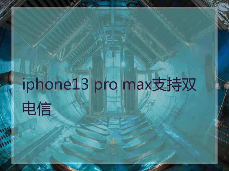 iphone13 pro max支持双电信