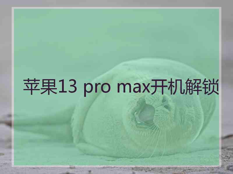 苹果13 pro max开机解锁