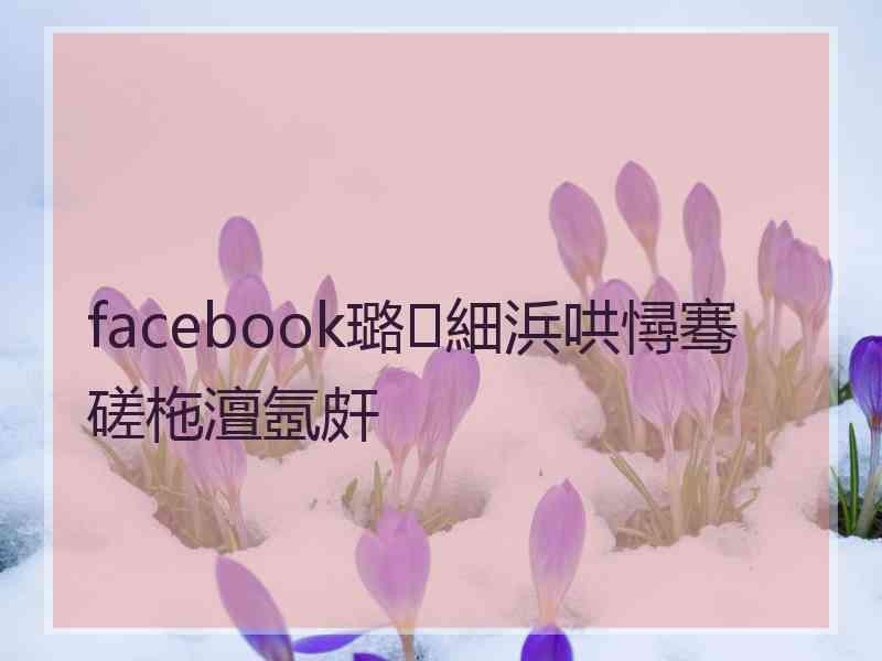 facebook璐細浜哄憳骞磋柂澶氬皯