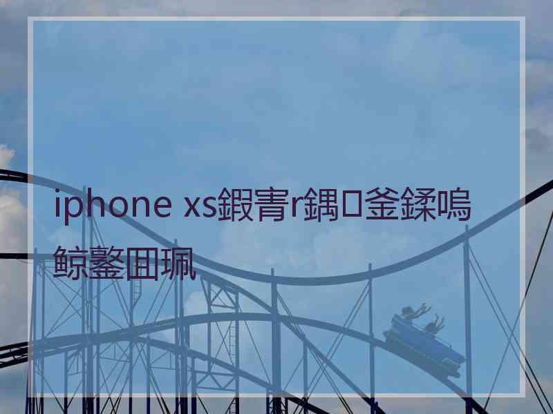 iphone xs鍜寈r鍝釜鍒嗚鲸鐜囬珮